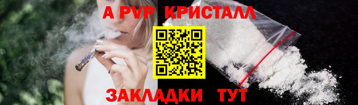Альфа ПВП СК КРИС  Альфа ПВП СК  Вход с VPN  Камышлов 