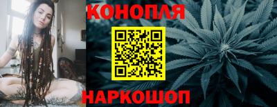 apvp Бийск