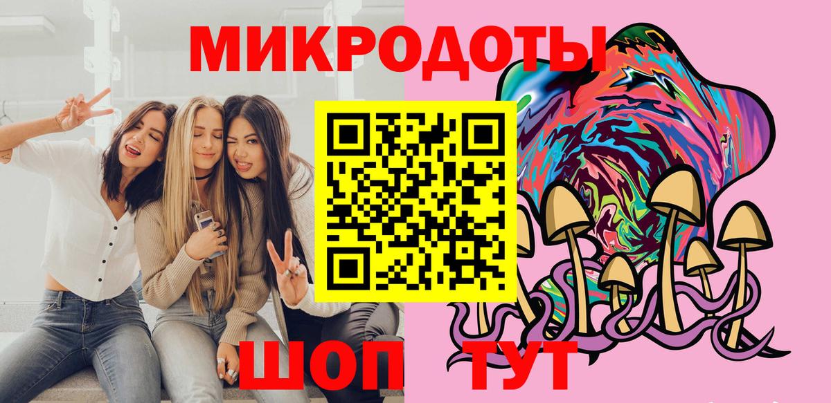 ГАШ Камышлов