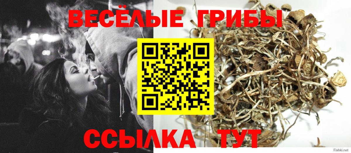 Галлюциногенные грибы мицелий  Вход с VPN  Камышлов 