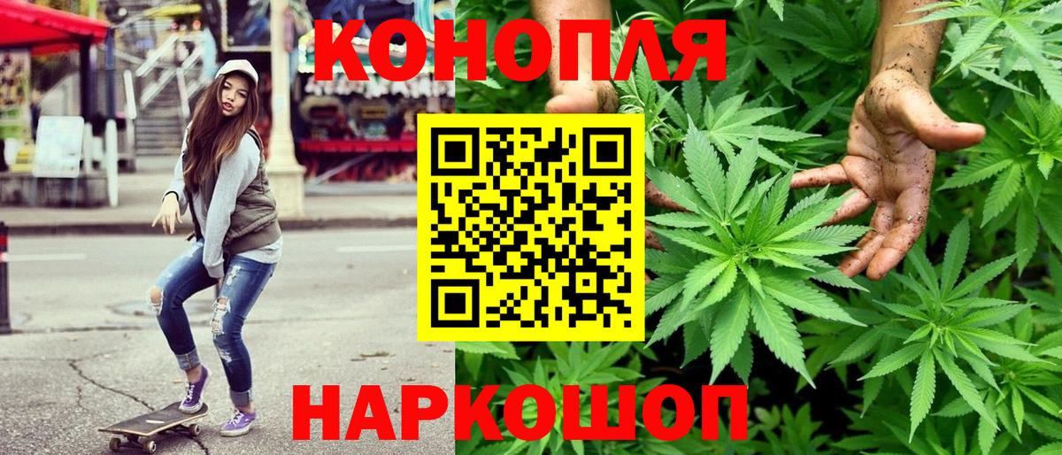 Бошки марихуана ГИДРОПОН  Марихуана планчик  МАРИХУАНА план  Вход с VPN  Камышлов 